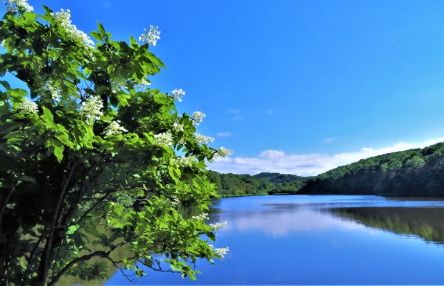 西岡エリア