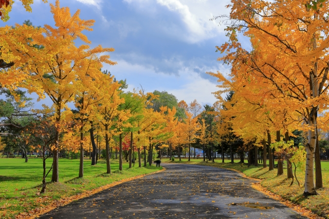 稲積公園エリア